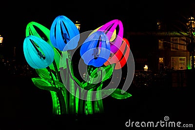 Tulips by night at Amsterdam Light Festival Editorial Stock Photo